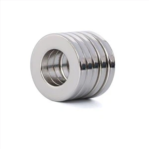 Rare Earth Ring Magnets